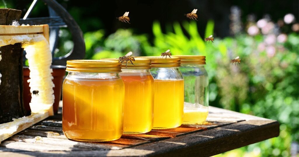 Sweet Solutions: 7 Simple Ways to Use Honey as a Natural Remedy 5 Nutrizen Life