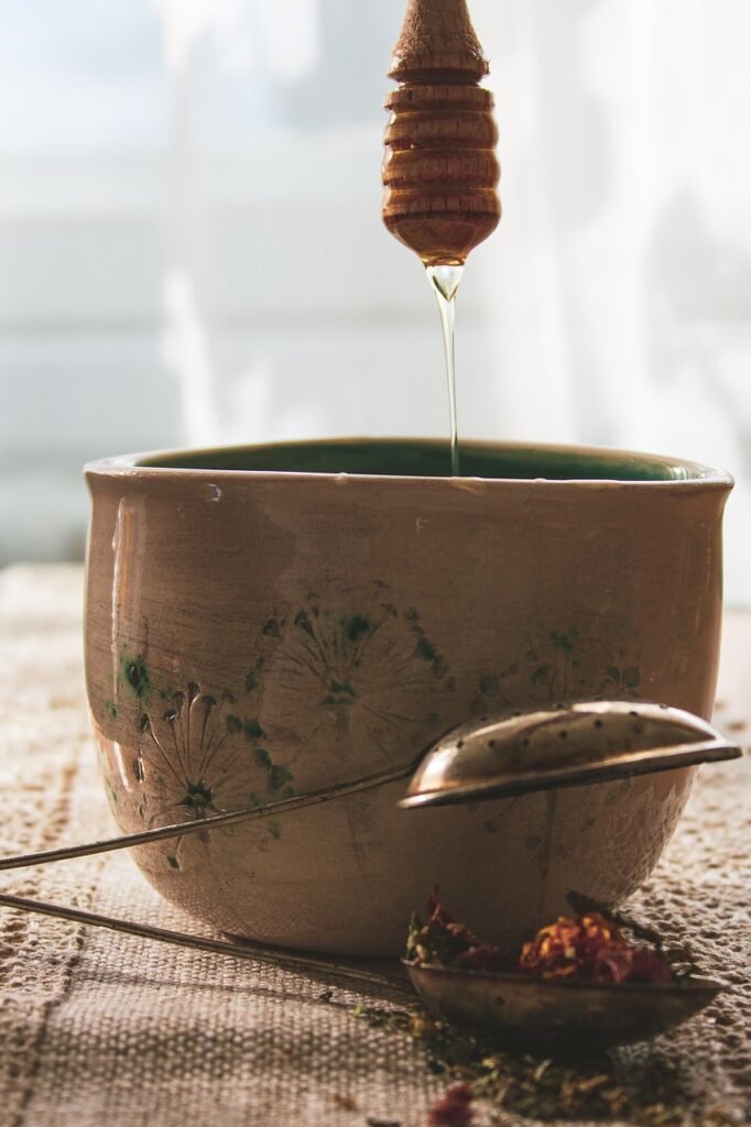 natural remedies book