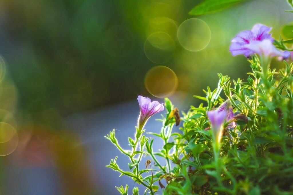 15 Best Home Remedies For Asthma That’s Actually Work 4 home remedies for asthma