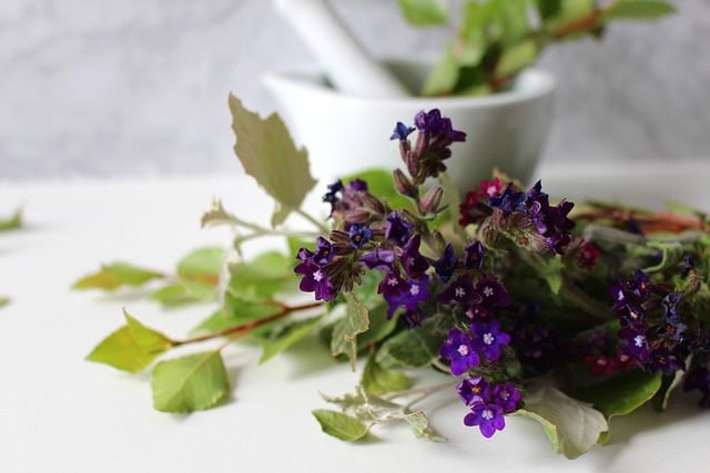 Natural Home Remedies For Uti Get Fast Relief