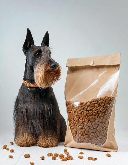 Natural Remedies for Arthritis in Dogs