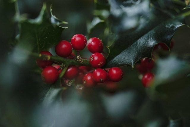 Arthritis Treatment Food To Eat